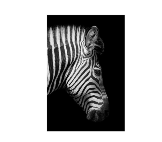 Black And White Animal Zebra Wall Art Canvas Painting Wall Poster Living Room Decor